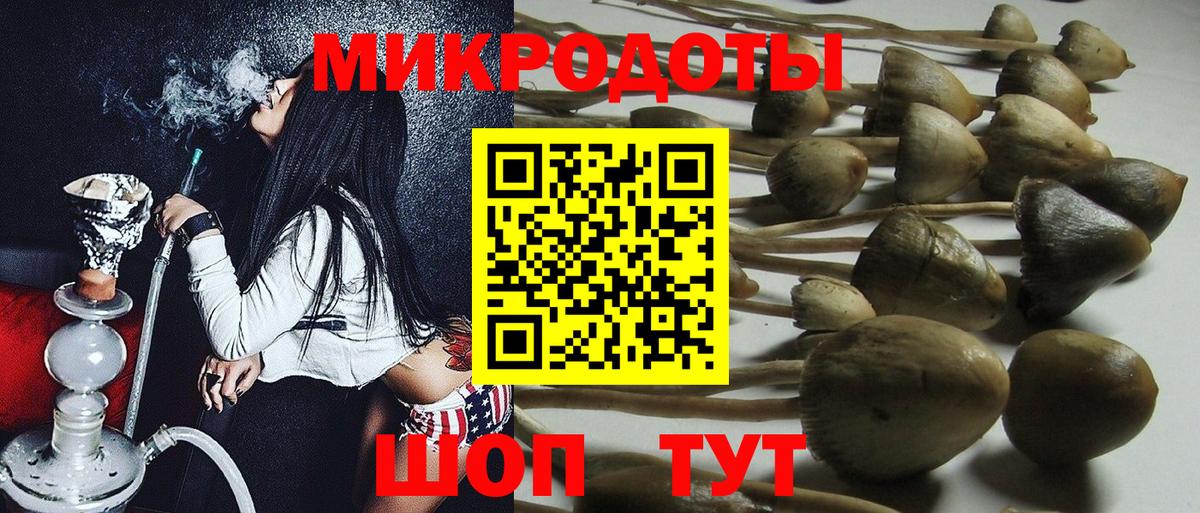 магазин продажи   Вход с VPN  Городец  Псилоцибиновые грибы MAGIC MUSHROOMS 
